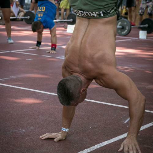 Madár Barna